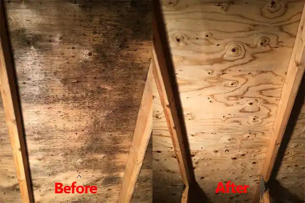 water damage restoration service Kasota